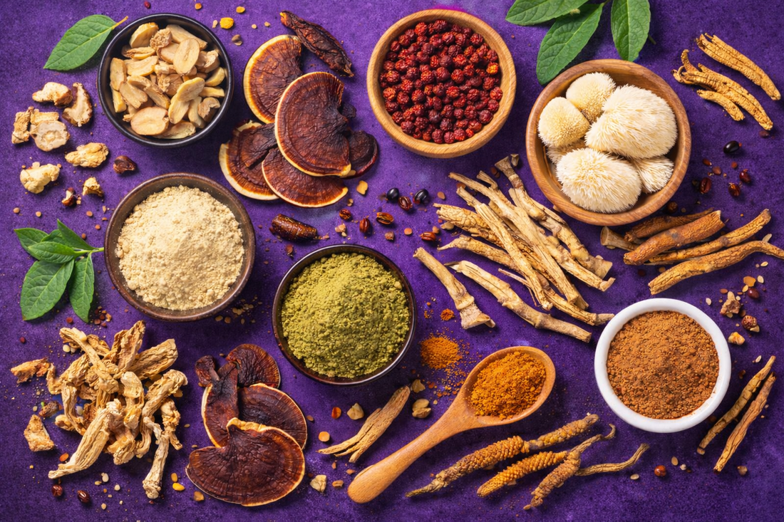 Adaptogens & Stress: The Missing Link in Modern Performance