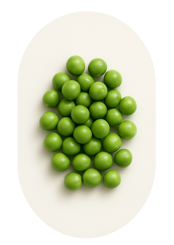 Pea Protein