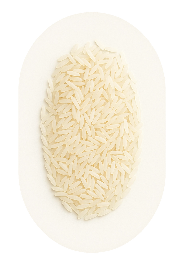 Rice Protein