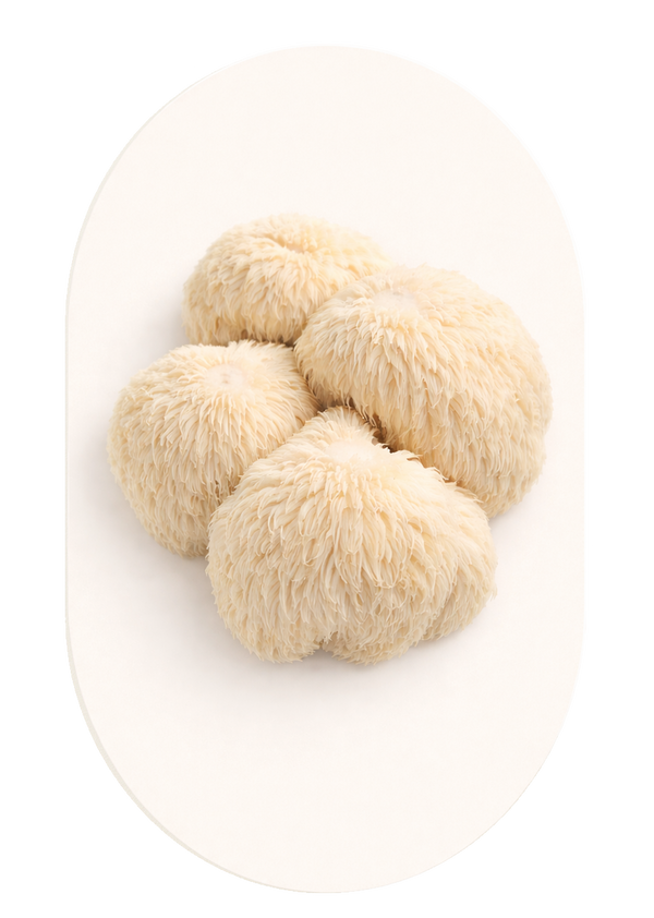 Lion's Mane Mushroom