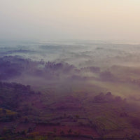 Flotein Protein Powder