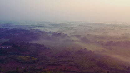 Flotein Protein Powder